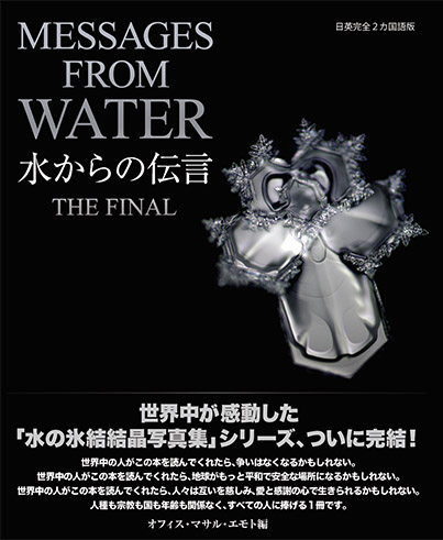 『水からの伝言 ザ・ファイナル』